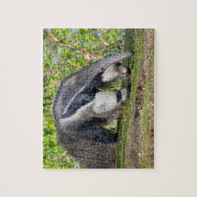 Riese Anteater auf Gras Puzzle (Vertikal)
