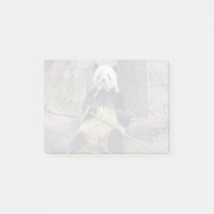 Riese Panda Tian Tian im Nationalpark Post-it Klebezettel