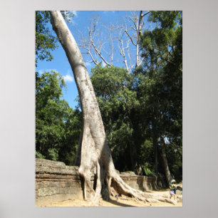Riesen-Banyan-Baum ... Ta Prohm Tempel, Kambodscha Poster