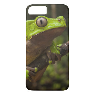 Riesen-Blattfrosch Phyllomedusa bicolor) Case-Mate iPhone Hülle
