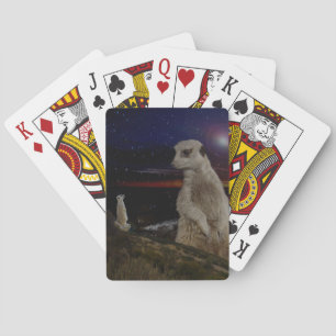 Riesen-Erdmännchen beobachtet kleines Erdmännchen, Spielkarten