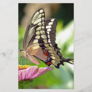 Riesen-Frack-Butterfly Briefpapier