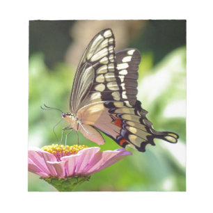 Riesen-Frack-Butterfly Notizblock