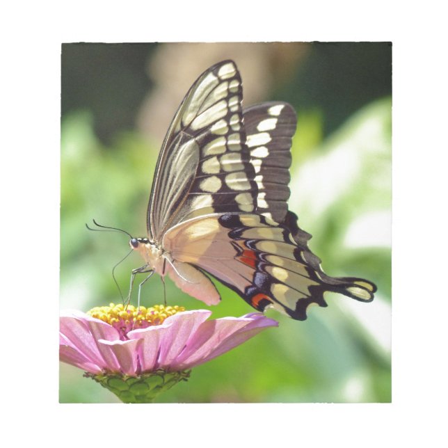 Riesen-Frack-Butterfly Notizblock (Vorderseite)