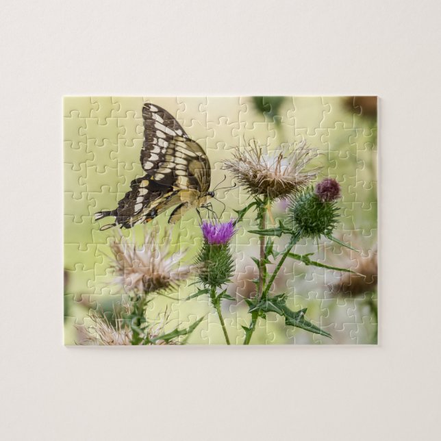 Riesen-Frack-Butterfly Puzzle (Horizontal)