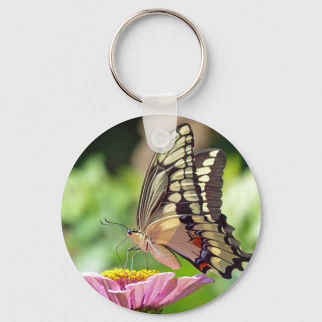 Riesen-Frack-Butterfly Schlüsselanhänger (Vorderseite)