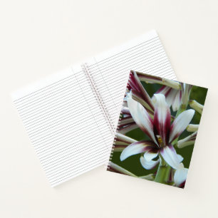 Riesen-Himalaja-Lilie-Blüten Notizbuch