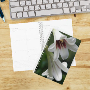 Riesen-Himalaja-Lilien Blumen Planer