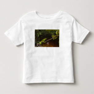 Riesen-Laubfrosch Phyllomedusa bicolor) 2 Kleinkind T-shirt