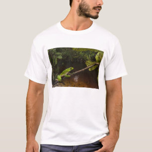 Riesen-Laubfrosch Phyllomedusa bicolor) 2 T-Shirt