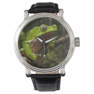 Riesen-Laubfrosch Phyllomedusa bicolor) Armbanduhr