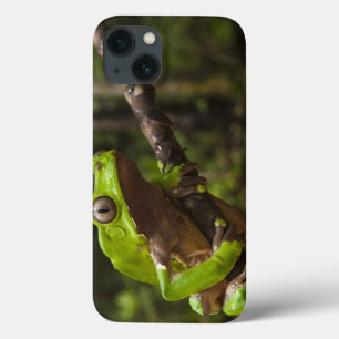 Riesen-Laubfrosch Phyllomedusa bicolor) Case-Mate iPhone Hülle