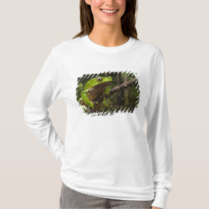 Riesen-Laubfrosch Phyllomedusa bicolor) T-Shirt