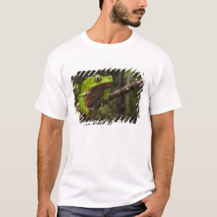 Riesen-Laubfrosch Phyllomedusa bicolor) T-Shirt