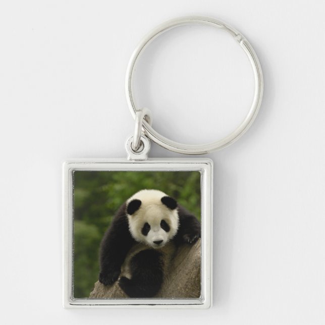 Riesen-Panda-Baby Schlüsselanhänger (Vorne)
