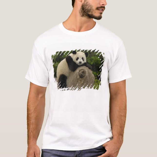 Riesen-Panda-Baby T-Shirt (Vorderseite)