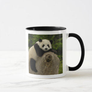 Riesen-Panda-Baby Tasse