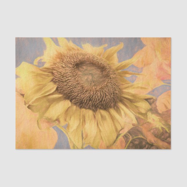 Riesen-Sonnenblumen Land Gelb Grau Deco Seidenpapier (Vorderseite)