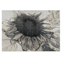 Riesen-Sonnenblumen Vintag Sepia Blumenmuseum