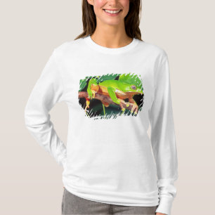 Riesen-Zweifarbiger-Affen-Laubfrosch, Phyllomedusa T-Shirt