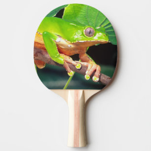 Riesen-Zweifarbiger-Affen-Laubfrosch, Phyllomedusa Tischtennis Schläger