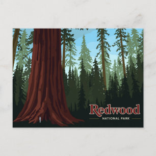Riesenbaum-Kunst im Redwood-Nationalpark Postkarte