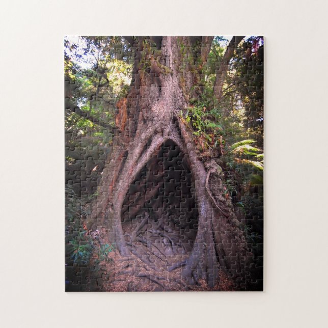 Riesenbaum, Meditationshöhle / Wald bei Sonnenunte Puzzle (Vertikal)