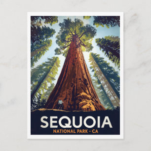 Riesenbäume im Sequoia-Nationalpark Postkarte