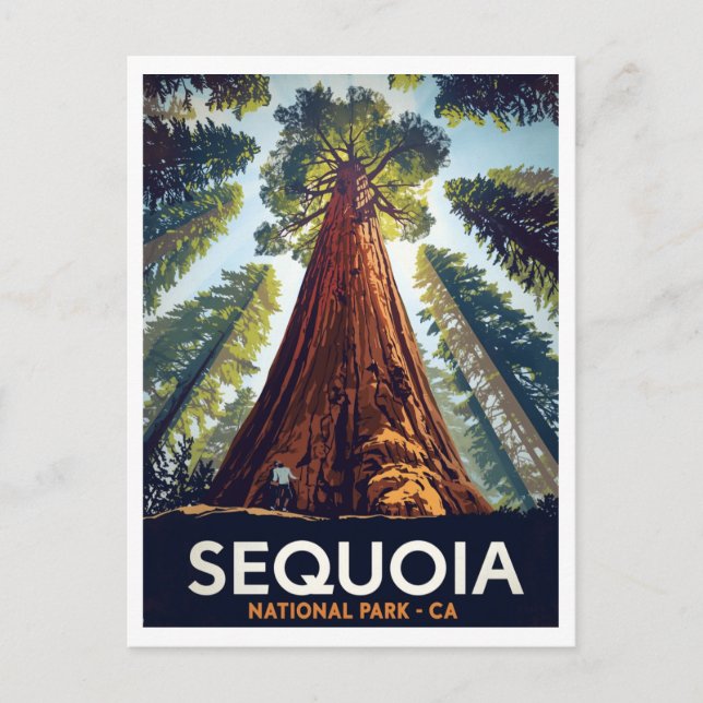 Riesenbäume im Sequoia-Nationalpark Postkarte (Vorderseite)
