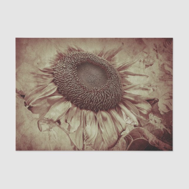 Riesenblume Sepia Brown Vintag Antique Seidenpapier (Vorderseite)