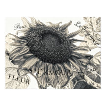Riesenblumen Vintag Sepia Decoupage Ephemera