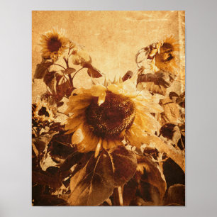 Riesenblumen Vintag Sepia Entdeckungsreise zur Alp Poster