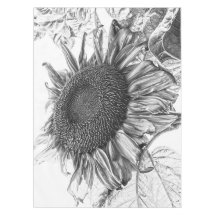 Riesenblumen, Vintage Schwarz-Weiß-Kunst