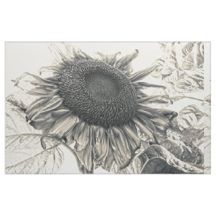 Riesenblüten Vintag Sepia Entdeckungsreise Stoff