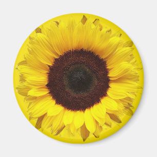 Riesengarten Sonnenblume auf goldgelbem Hintergrun Magnet