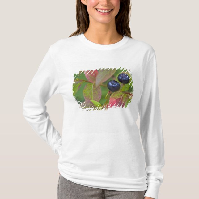 Riesengebäck im Flathead National T-Shirt (Vorderseite)