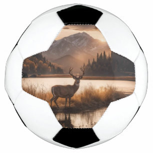 Riesengebirge am Bergsee Fußball