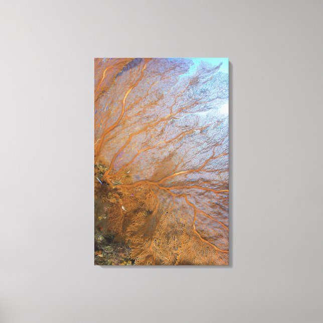 Riesengebirge (Plexauridae sp.) Leinwanddruck (Vorderseite)