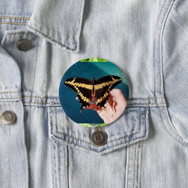 Riesengelbes Frack Butterfly Button (Beispiel)