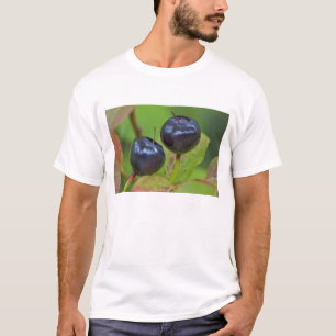 Riesenholzbeeren im Flathead National 2 T-Shirt