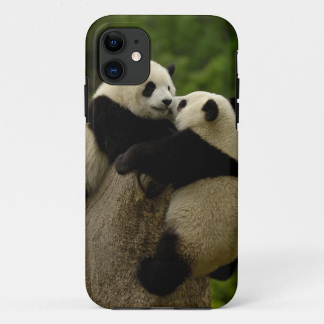 Riesenjunge (Ailuropoda melanoleuca) Case-Mate iPhone Hülle (Rückseite)