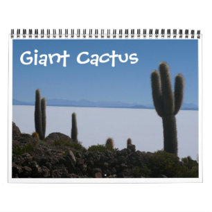 Riesenkaktus 2027 kalender
