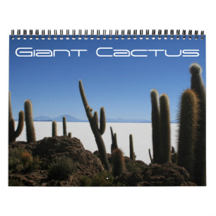 Riesenkaktus 2027 kalender