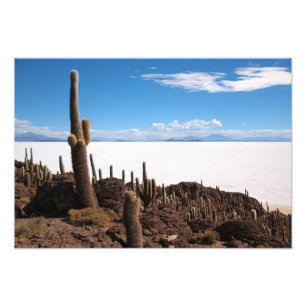 Riesenkaktus im Foto Salar de Uyuni