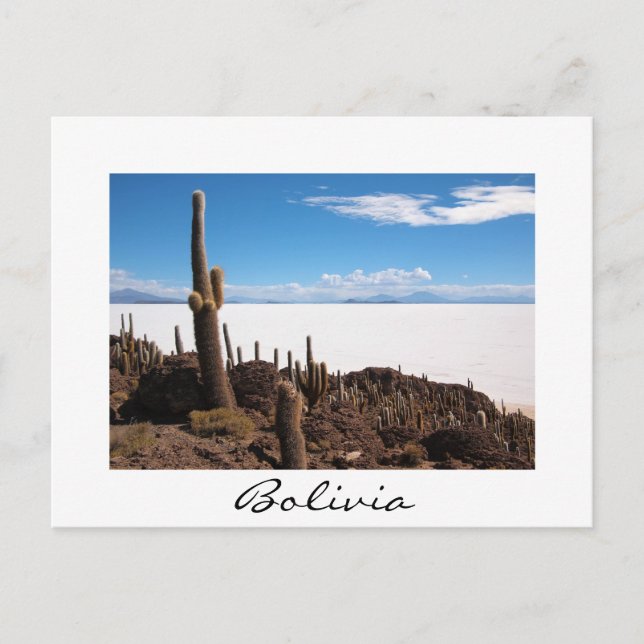 Riesenkaktus im Salar de Uyuni, Bolivien Postkarte (Vorderseite)