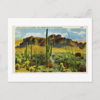 Riesenkaktus in der Vintagen Postkartenlandschaft Postkarte