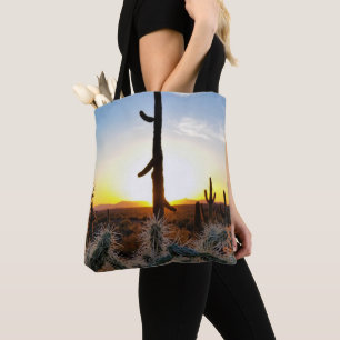 Riesenkaktus Saguaro bei Sonnenuntergang in der So