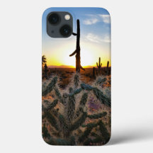 Riesenkaktus Saguaro bei Sonnenuntergang in der So