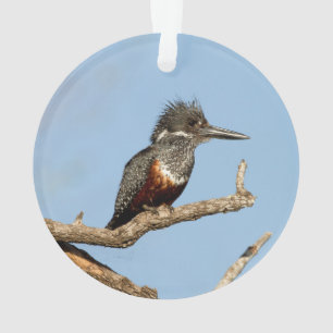 Riesenkönigin Ornament