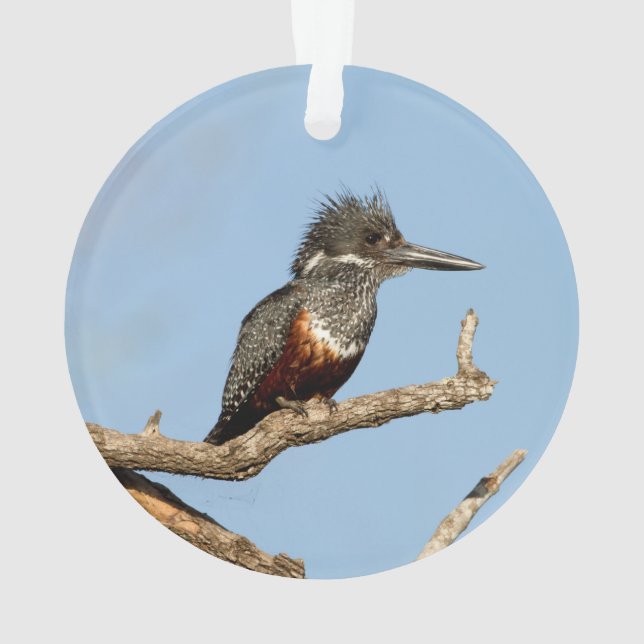 Riesenkönigin Ornament (Rückseite)